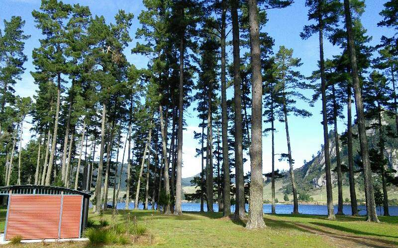 Whakamaru Reserve Freedom/Basic Camp New Zealand